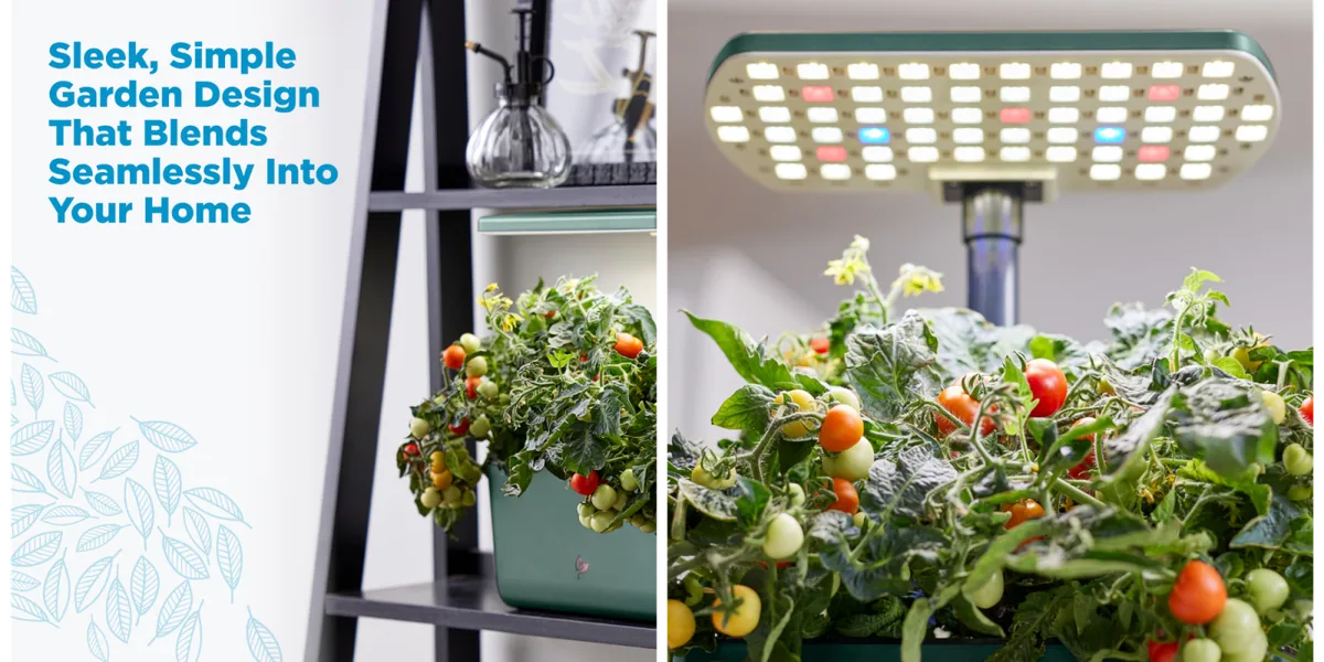 Indoor hydroponic garden hits 2026 low price on Amazon